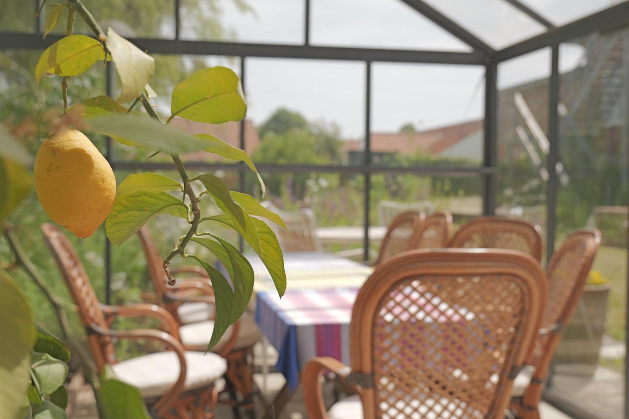 Huset I Hejls Bed and Breakfast Εξωτερικό φωτογραφία