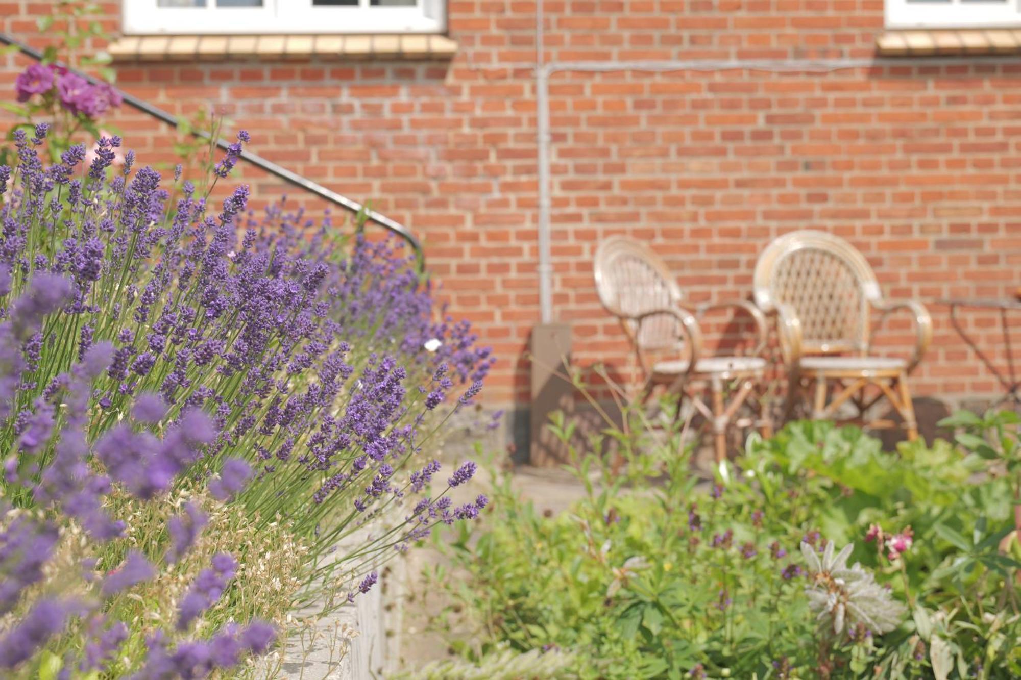 Huset I Hejls Bed and Breakfast Εξωτερικό φωτογραφία
